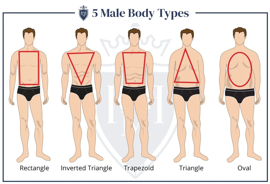 male body type 